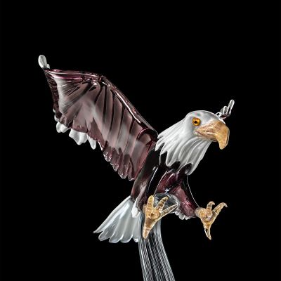 Águila americana  - 2