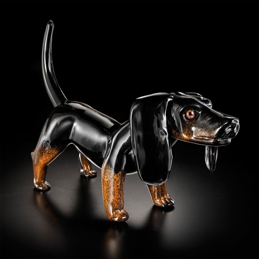 Big Black dachshund