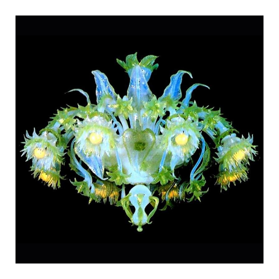 Murano chandelier Murano chandelier